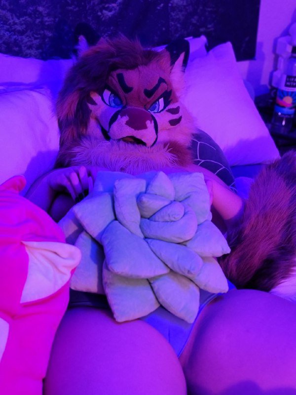 [FURRY] 😡🇲🇽 mexican demi-bisexual shepard girl (mëäņșħëp) #UCllJc9O