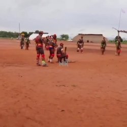Indígenas