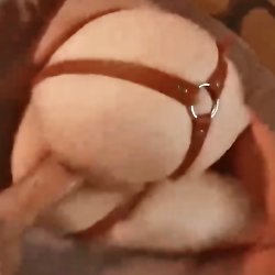 Anal creampie