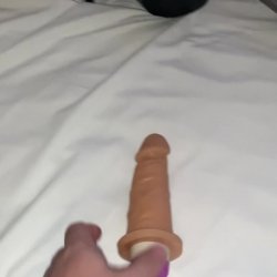BRINQUEI BASTANTE COM A BUCETA DA NOVINHA