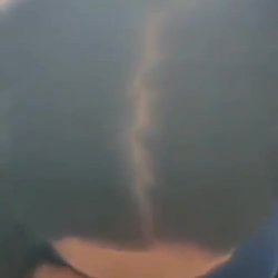 petera le encanta la leche