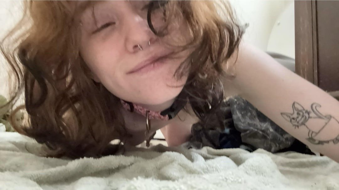 Slutty Morgie is your playful puppy #yC1PgqgL