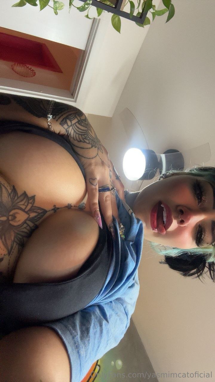 zqqonoed Yasmin cat yasmincat #zqqoNOeD