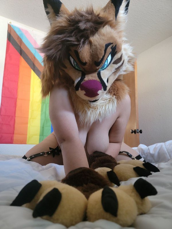 [FURRY] 😡🇲🇽 mexican demi-bisexual shepard girl (mëäņșħëp) #ZYV7WvuO