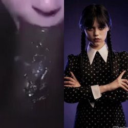 Jenna Ortega giving guy sloppy blowjob