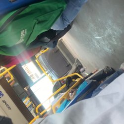 Culitos en la calle